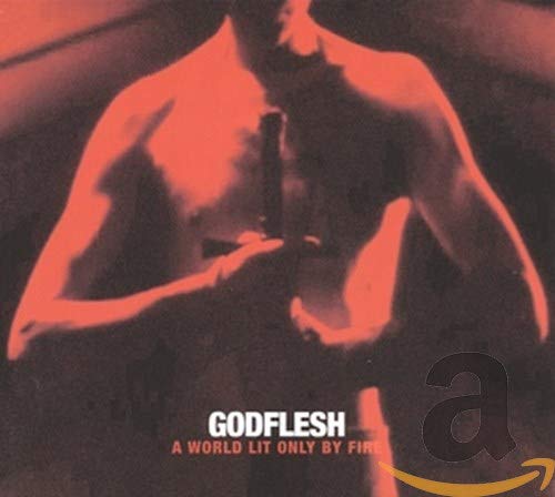 GODFLESH - A WORLD LIT ONLY BY FIRE (CD)