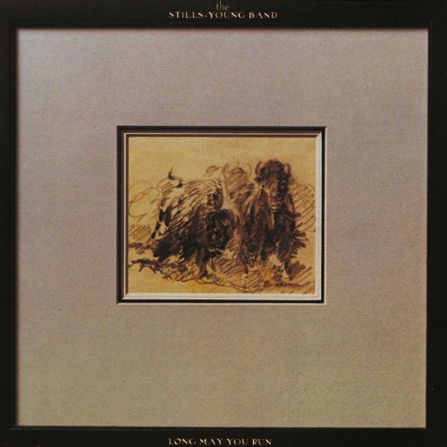 NEIL YOUNG - LONG MAY YOU RUN (CD)