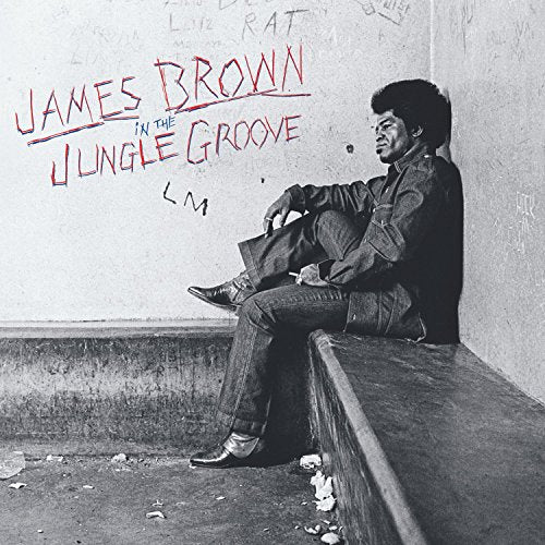 BROWN, JAMES - IN THE JUNGLE GROOVE [2 LP]