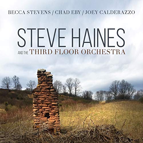 STEVE HAINES & THE THIRD FLOOR ORCHESTRA - STEVE HAINES AND THE THIRD FLOOR ORCHESTRA (FEAT. BECCA STEVENS, CHAD EBY, JOEY CALDERAZZO) (CD)