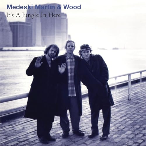 MEDESKI, MARTIN & WOOD - IT'S A JUNGLE IN HERE (VINYL)