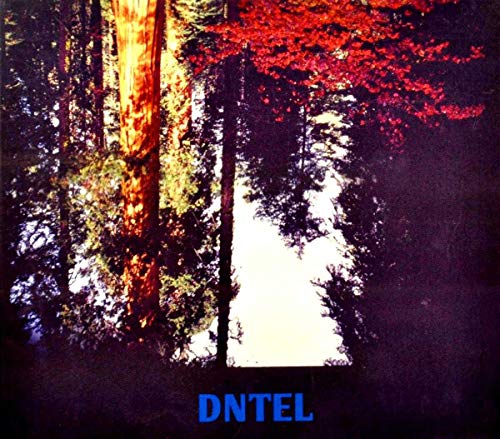 DNTEL - AIMLESSNESS (CD)