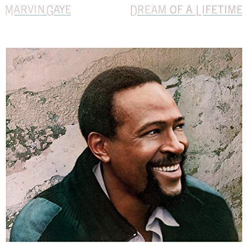 MARVIN GAYE - DREAM OF A LIFETIME (VINYL)