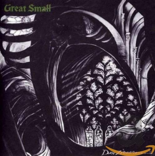 ZIMMERMAN,DAN - GREAT SMALL (CD)