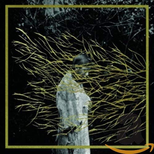 FOREST SWORDS - ENGRAVINGS (CD)