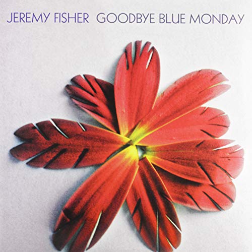 FISHER, JEREMY - GOODBYE BLUE MONDAY (VINYL)