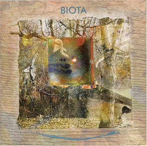 BIOTA - HALF A TRUE DAY (CD)