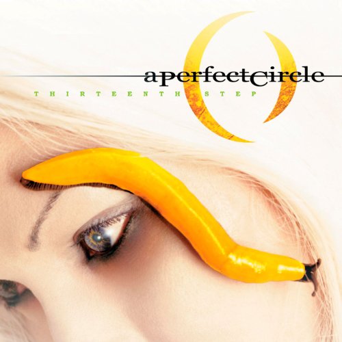 PERFECT CIRCLE - THIRTEENTH STEP