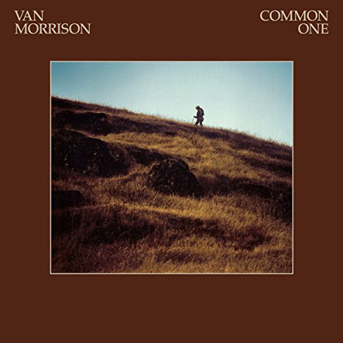 VAN MORRISON - COMMON ONE (VINYL)