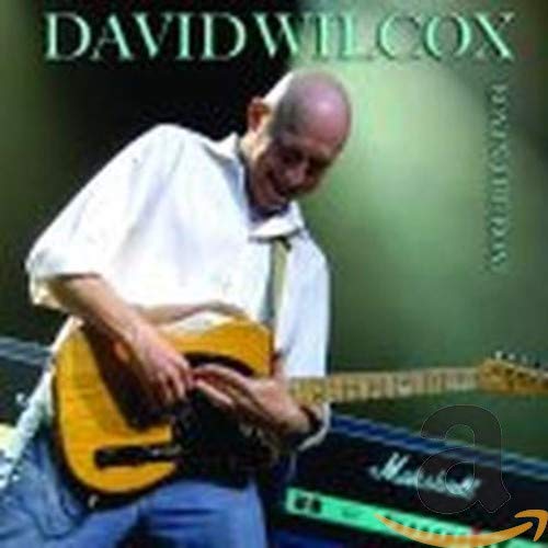 DAVID WILCOX - BOY IN THE BOAT (CD)