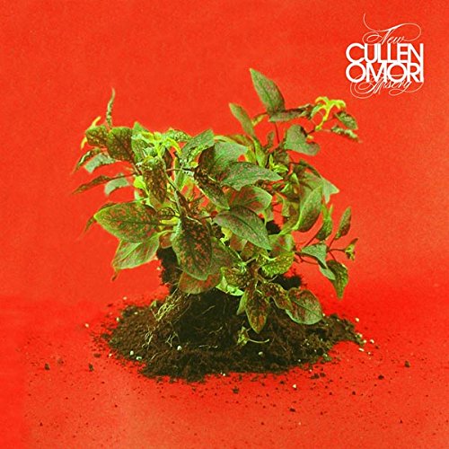 CULLEN OMORI - NEW MISERY (VINYL)