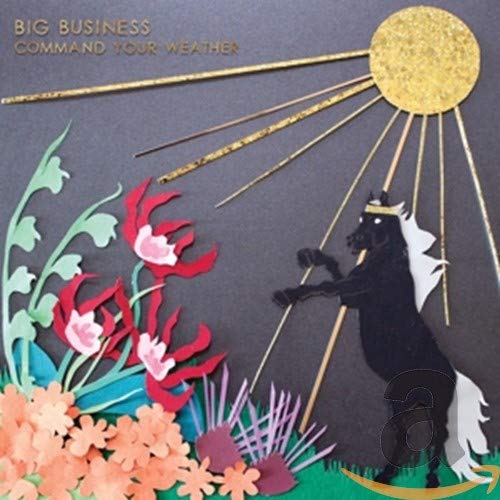 BIG BUSINESS - COMMAND YOUR WEATHER (CD)