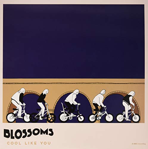 THE BLOSSOMS - COOL LIKE YOU (VINYL)