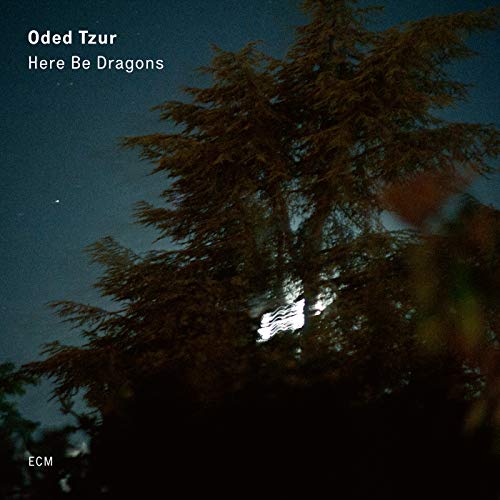 ODED TZUR, NITAI HERSHKOVITS, PETROS KLAMPANIS, JOHNATHAN BLAKE - HERE BE DRAGONS (VINYL)