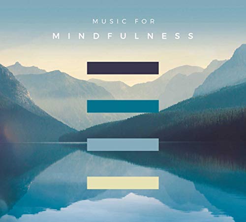 VARIOUS ARTISTS - MUSIC FOR MINDFULNESS (3CD) (CD)