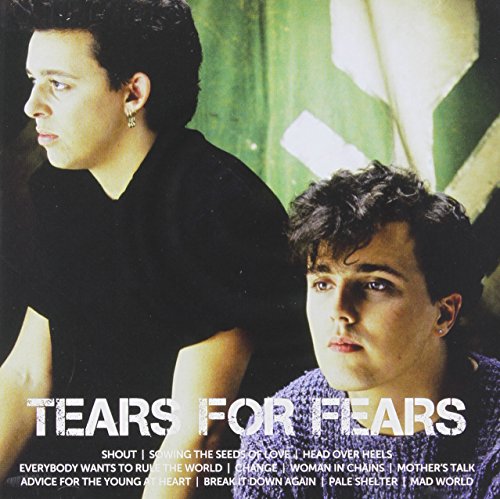 TEARS FOR FEARS - ICON (CD)