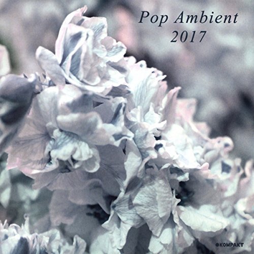 VARIOUS ARTISTS - POP AMBIENT 2017 (CD)