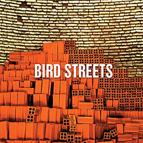 BIRD STREETS - BIRD STREETS (CD)