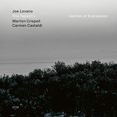 JOE LOVANO, MARILYN CRISPELL, CARMEN CASTALDI - GARDEN OF EXPRESSION (CD)