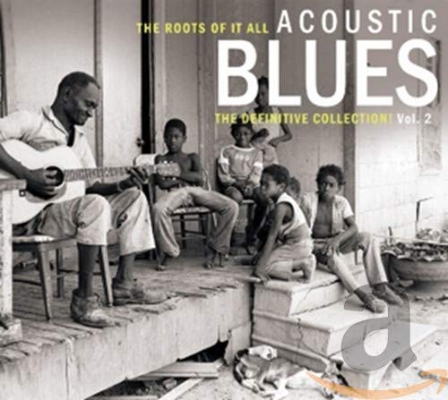 VARIOUS - ACOUSTIC BLUES VOL.2 (CD)