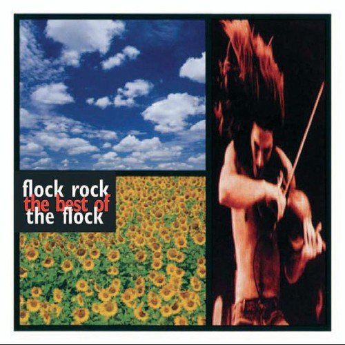 FLOCK ROCK: THE BEST OF THE FLOCK (CD)