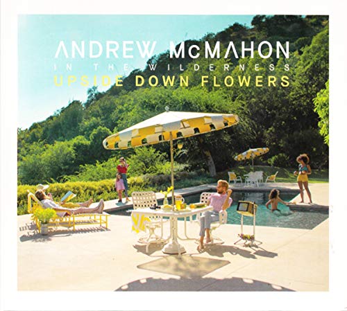 ANDREW MCMAHON IN THE WILDERNESS - UPSIDE DOWN FLOWERS (CD)