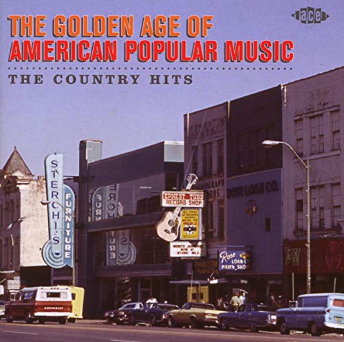 VARIOUS ARTISTS - GOLDEN AGE OF AMERICAN POPULAR MUSIC: COUNTRY HITS / VAR (CD)