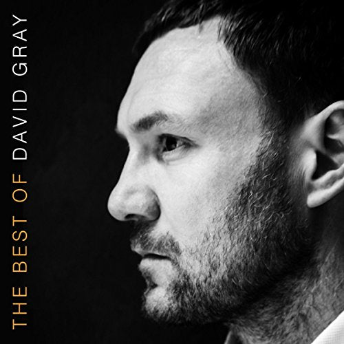 DAVID GRAY - THE BEST OF DAVID GRAY (VINYL)