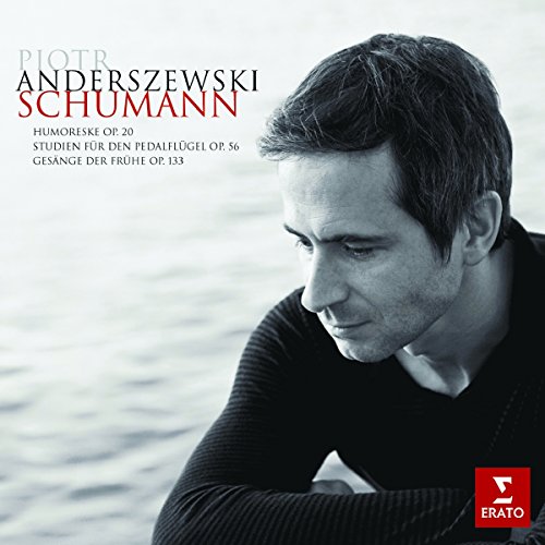 ANDERSZEWSKI, PIOTR - SCHUMANN: PIANO WORKS (CD)