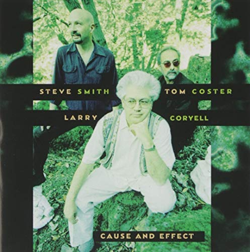 LARRY CORYELL - CAUSE AND EFFECT (CD)