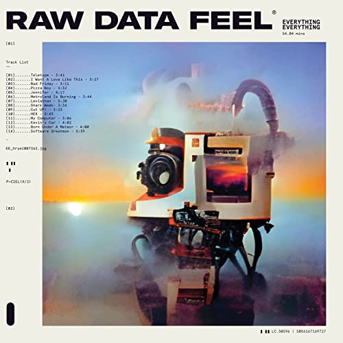 EVERYTHING EVERYTHING - RAW DATA FEEL (VINYL)