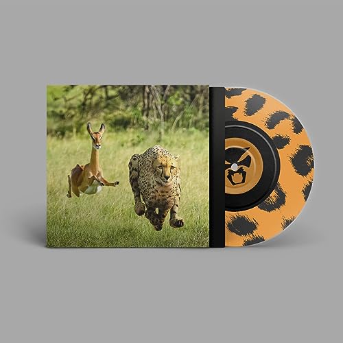 THUNDERCAT & TAME IMPALA - NO MORE LIES (VINYL)