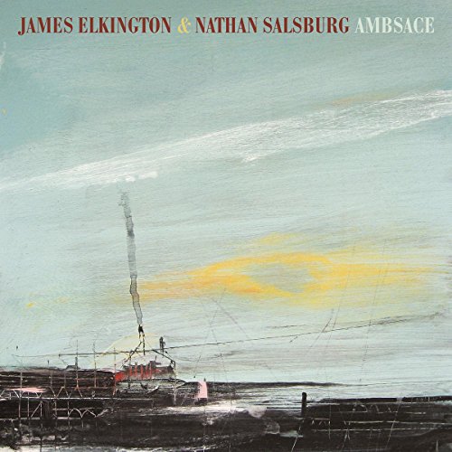 ELKINGTON,JAMES / SALSBURG,NATHAN - AMBSACE (CD)