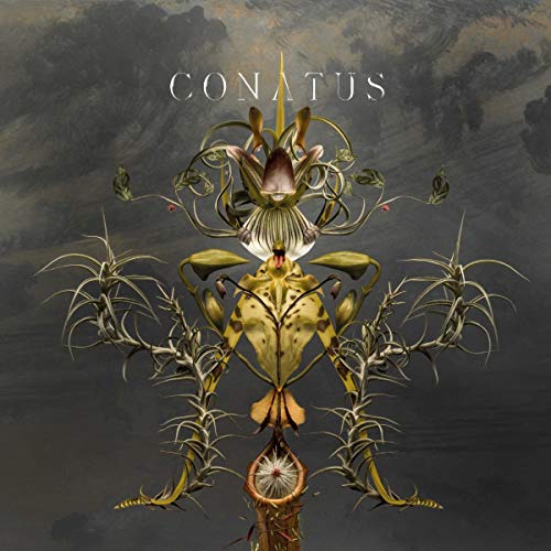 BEVING, JOEP - CONATUS (CD)