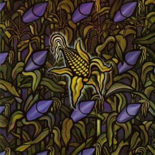 BAD RELIGION - AGAINST THE GRAIN (VINYL)