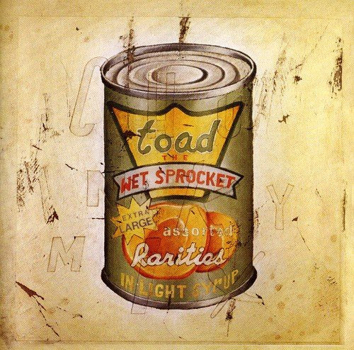 TOAD THE WET SPROCKET - IN LIGHT SYRUP (CD)