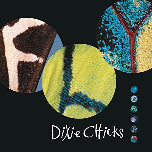 THE CHICKS - FLY (VINYL)