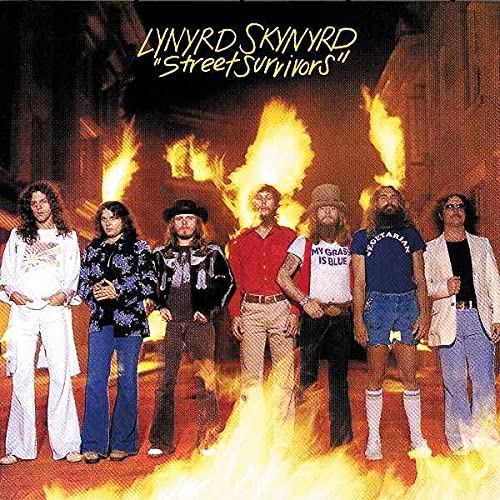 LYNYRD SKYNYRD - STREET SURVIVORS (VINYL)