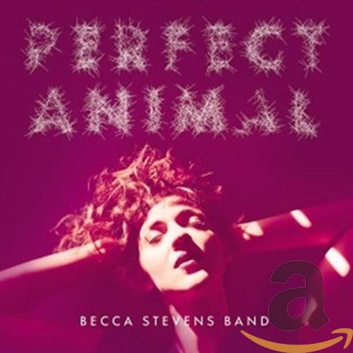 BECCA STEPHENS BAND - PERFECT ANIMAL (CD)