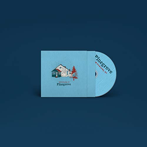 PINEGROVE - AMPERLAND NY (VINYL)