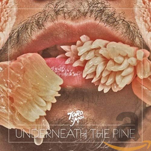 TORO Y MOI - UNDERNEATH THE PINE (CD)