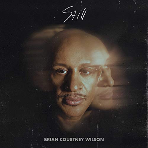 WILSON, BRIAN COURTNEY - STILL (CD)