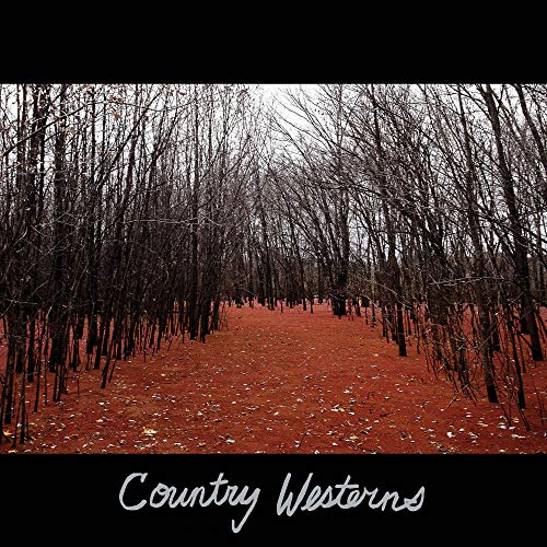 COUNTRY WESTERNS - COUNTRY WESTERNS (VINYL)