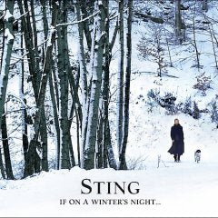 STING - IF ON A WINTER'S NIGHT (CD)