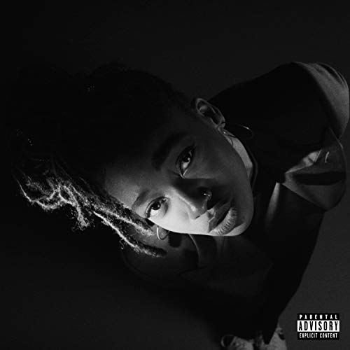 LITTLE SIMZ - GREY AREA (VINYL)