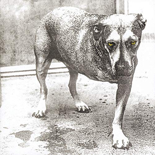 ALICE IN CHAINS - ALICE IN CHAINS (CD)