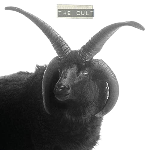 CULT (2LP)