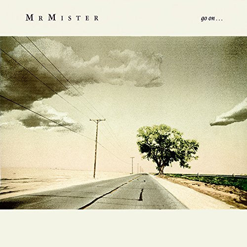 MISTER MISTER - GO ON (DELUXE) (CD)