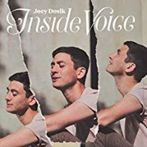 DOSIK,JOEY - INSIDE VOICE (VINYL)