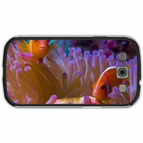 OUGHT - ROOM INSIDE THE WORLD (SPECIAL EDITION VINYL)